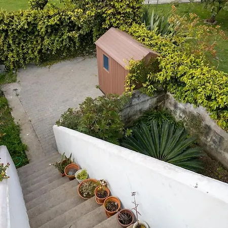 Alfazema Local Angra do Heroismo